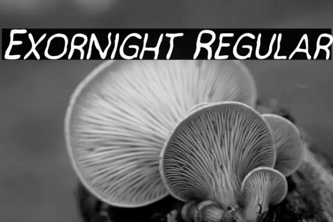 Exornight Regular Font examples