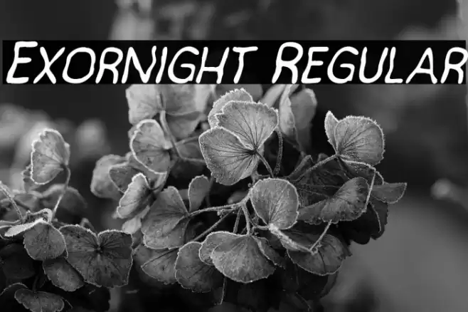 Exornight Regular Font examples