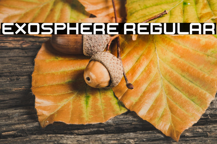 Exosphere Regular Example 2