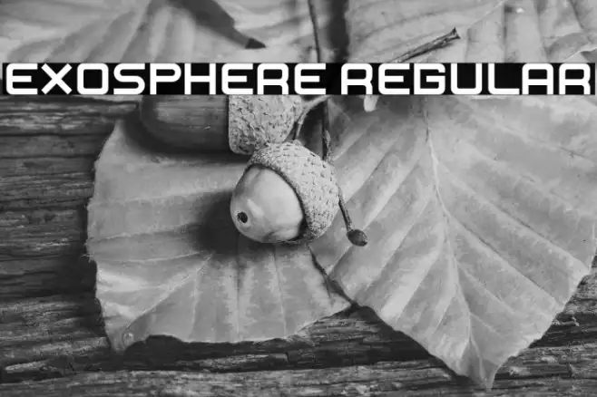 Exosphere Regular Example 2