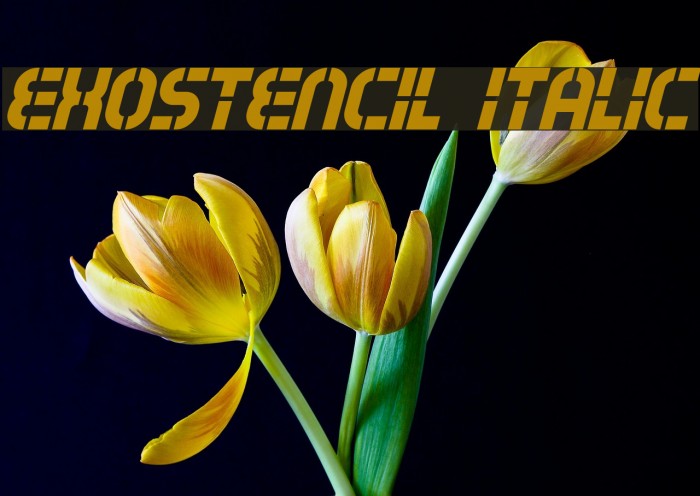 Exostencil Italic Font examples