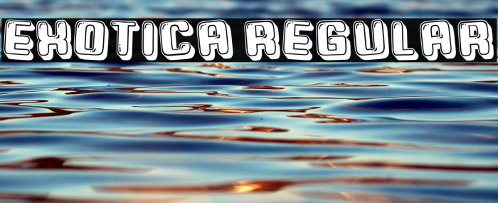 Exotica Regular Example 2