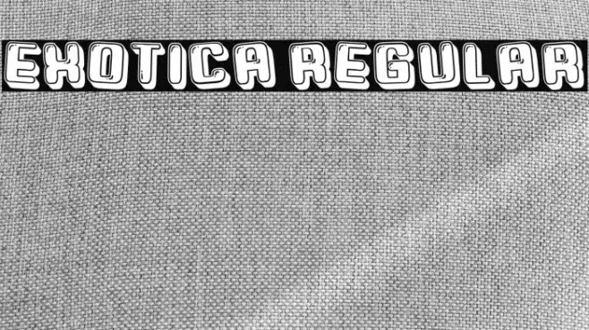 Exotica Regular Example 3