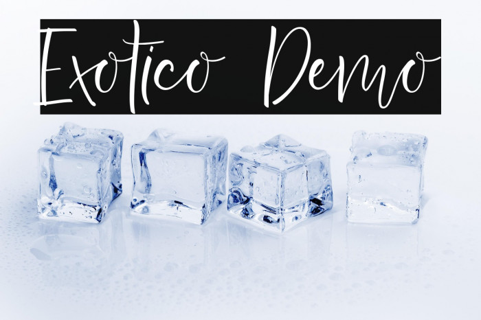 Exotico Demo Example 1