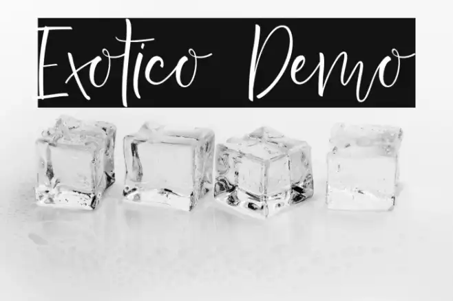 Exotico Demo Example 1