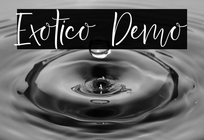 Exotico Demo Example 3