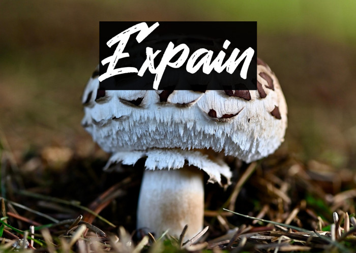Expain Example 1