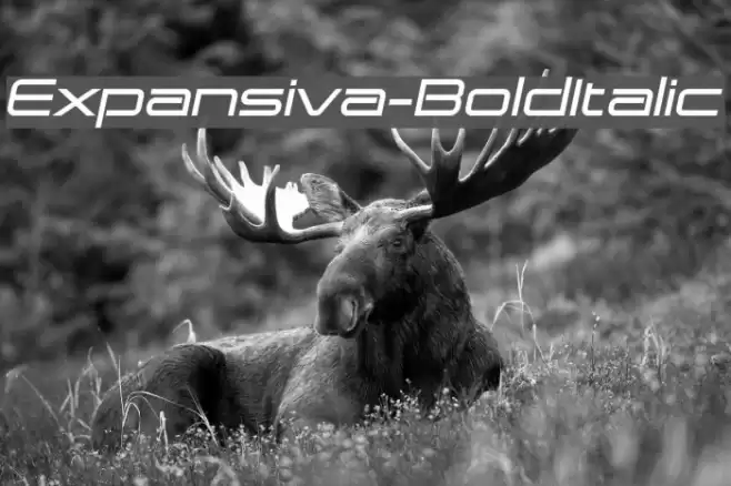 Expansiva-BoldItalic Font examples