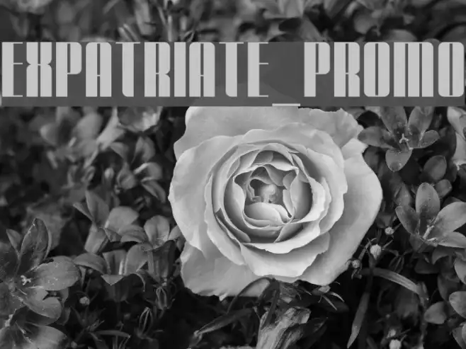 Expatriate_Promo Example 1
