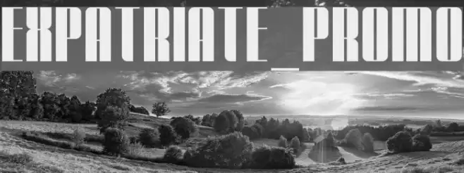 Expatriate_Promo Example 2