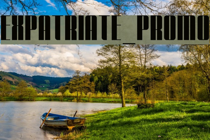Expatriate_Promo Font examples