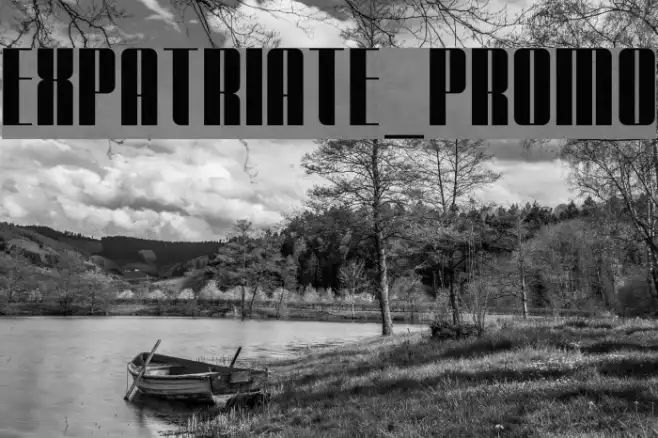 Expatriate_Promo Example 3