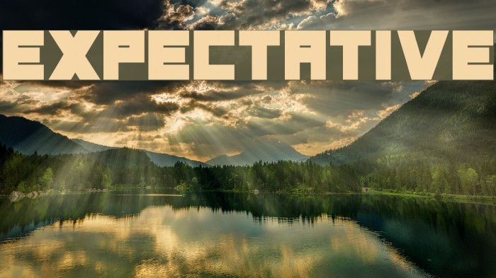Expectative Font examples
