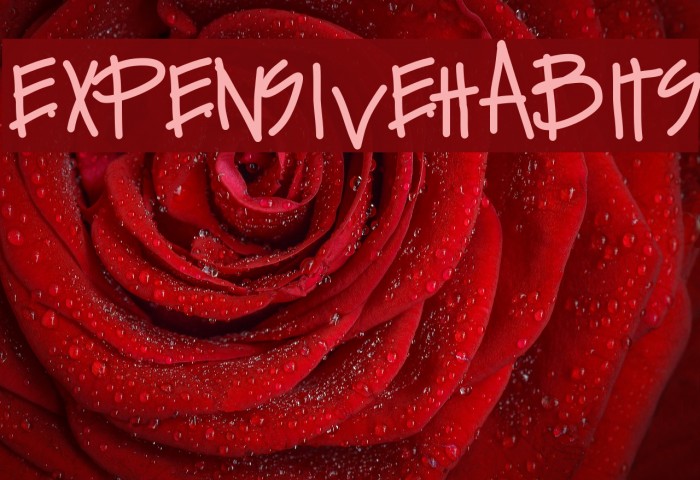 ExpensiveHabits Font examples