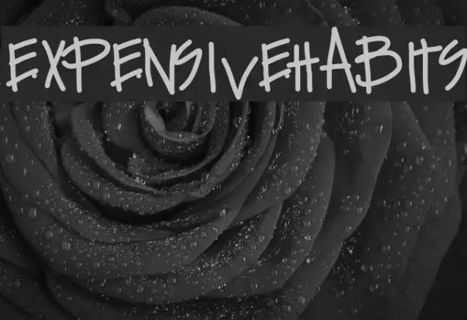 ExpensiveHabits Example 2