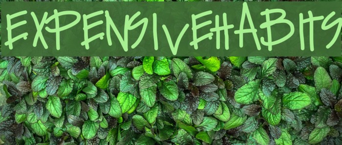 ExpensiveHabits Font examples