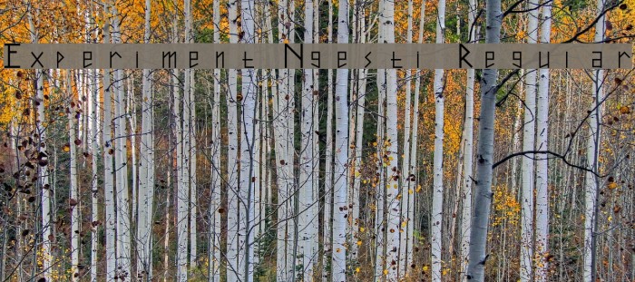 Experiment Ngesti Regular Font examples