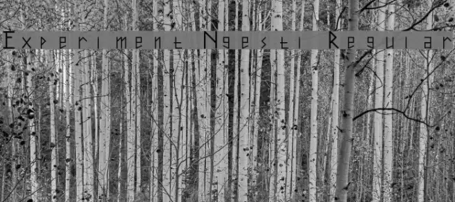 Experiment Ngesti Regular Example 1