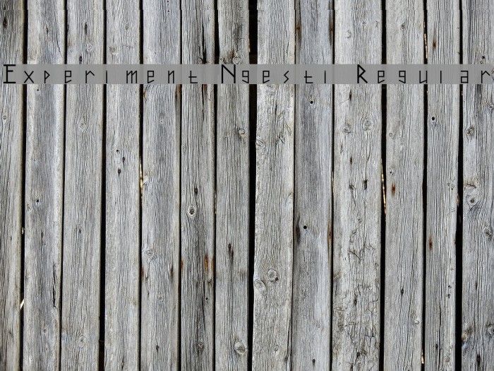 Experiment Ngesti Regular Font examples