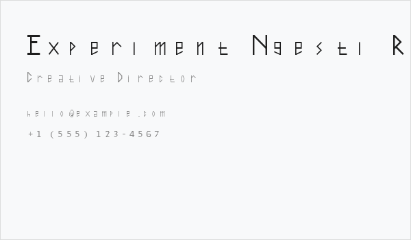 Experiment Ngesti Regular Business Card