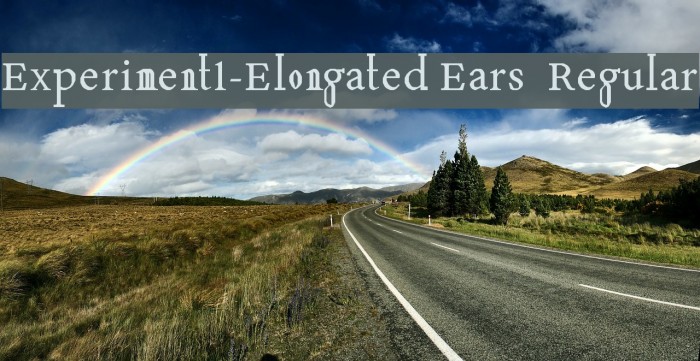 Experiment1-Elongated Ears Regular Font examples