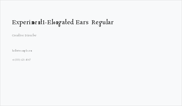Experiment1-Elongated Ears  Regular Business Card