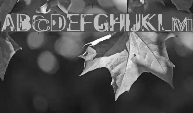 Experitypo5 フォント examples