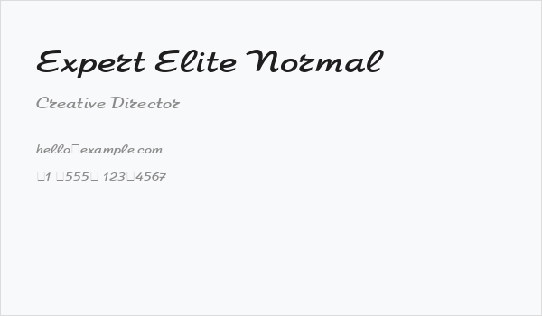 Expert Elite Normal Business Card