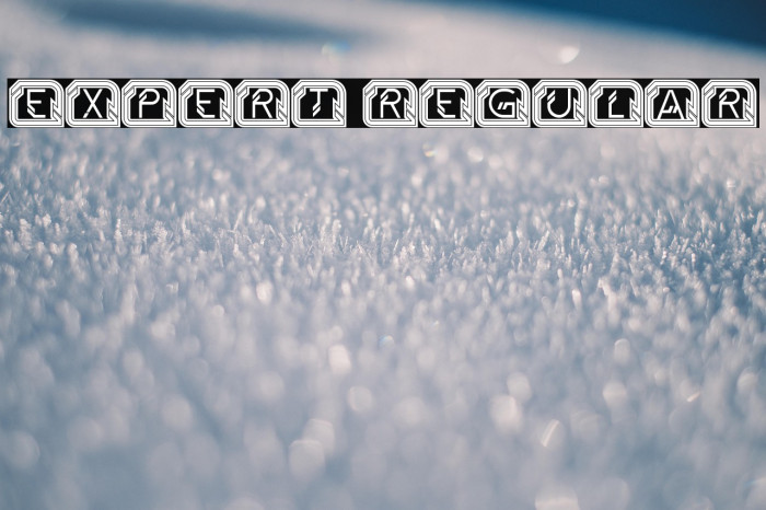 Expert Regular Example 2