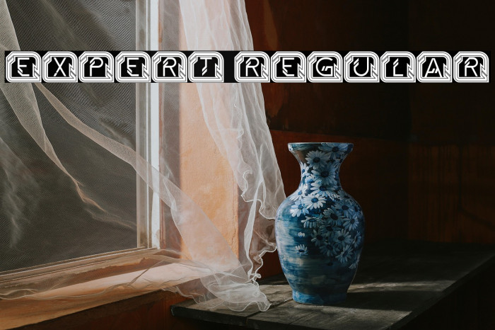 Expert Regular Example 3