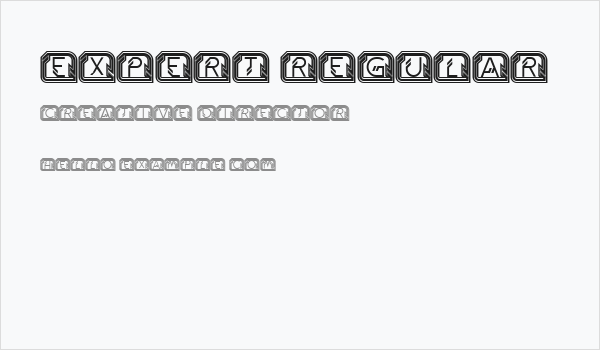 Expert Regular Business Card