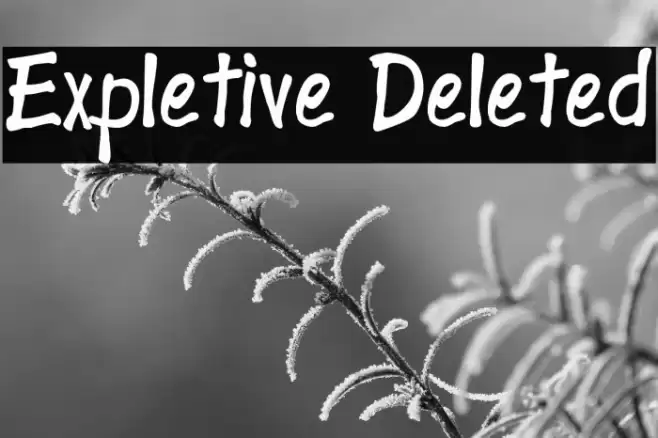 Expletive Deleted Font examples