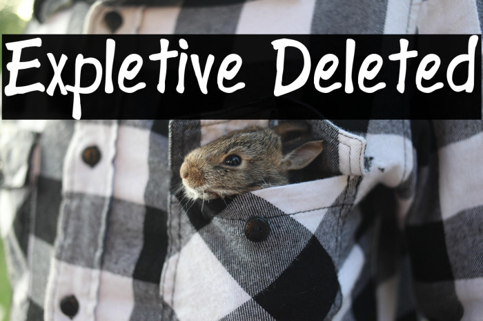 Expletive Deleted Example 3