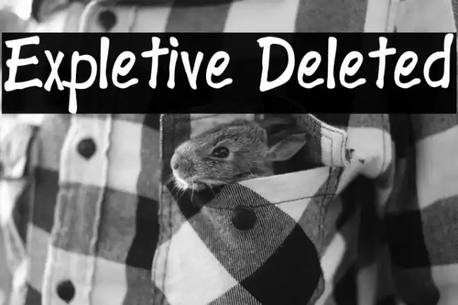 Expletive Deleted Font examples