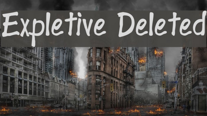 Expletive Deleted Example 2