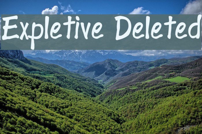 Expletive Deleted Example 3