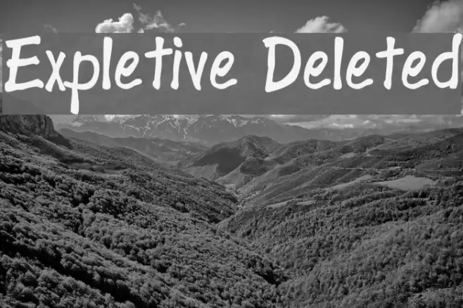Expletive Deleted Example 3