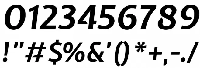 Expletus Sans Bold Italic Font OTHER CHARS