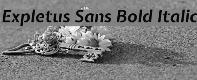 Expletus Sans Bold Italic Font examples