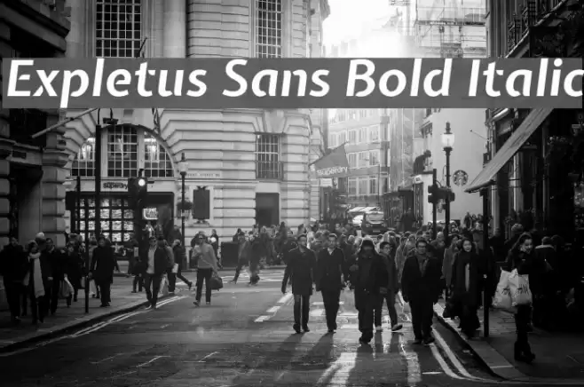 Expletus Sans Bold Italic Font examples
