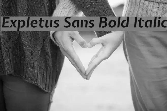 Expletus Sans Bold Italic Font examples
