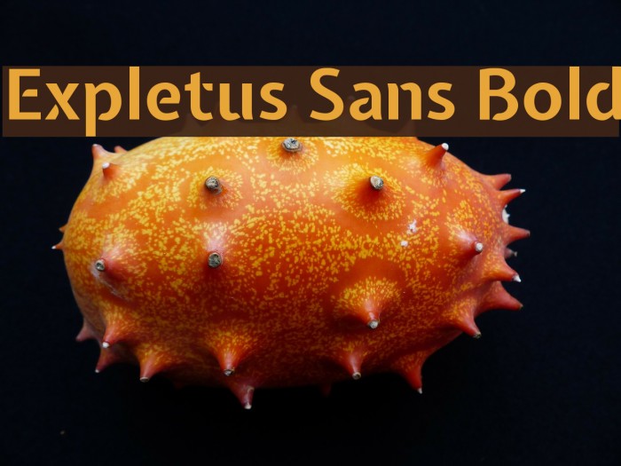 Expletus Sans Bold Font examples