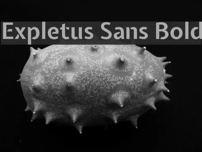 Expletus Sans Bold Example 1