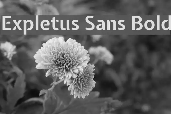 Expletus Sans Bold Example 3
