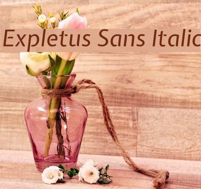 Expletus Sans Italic Font examples