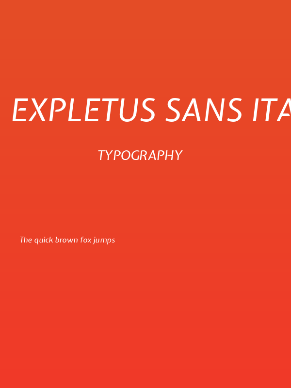 Expletus Sans Italic Poster