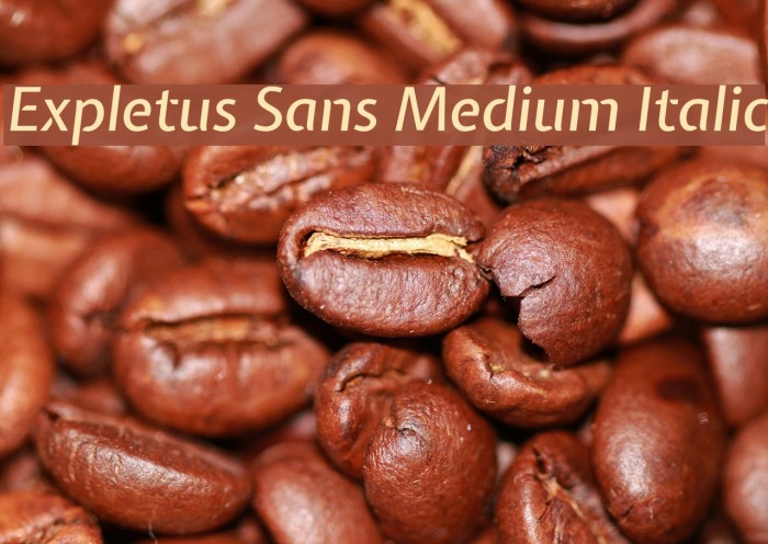 Expletus Sans Medium Italic Font examples