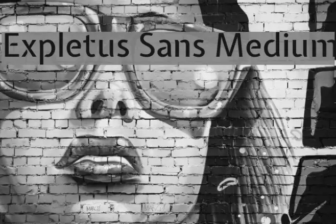 Expletus Sans Medium Example 1