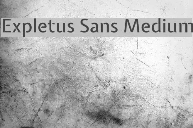 Expletus Sans Medium Example 2