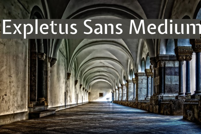 Expletus Sans Medium Font examples